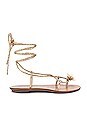 view 1 of 5 SANDALES WRAP SANDAL in Champagne