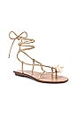 view 2 of 5 SANDALES WRAP SANDAL in Champagne