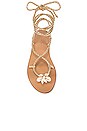 view 4 of 5 SANDALES WRAP SANDAL in Champagne