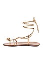 view 5 of 5 SANDALES WRAP SANDAL in Champagne
