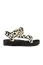 view 1 of 5 Maisie Sporty Sandal in Leopard