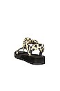 view 3 of 5 Maisie Sporty Sandal in Leopard