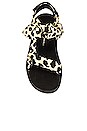 view 4 of 5 Maisie Sporty Sandal in Leopard