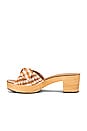 view 5 of 5 SABOT REGINA in Amber