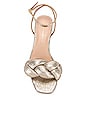 view 4 of 5 Avril Puffy Braided Sandal in Prosecco