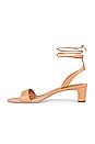 view 5 of 5 Jackie Sandal in Dune