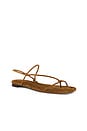 view 2 of 5 Eleanor Sandal in Cacao