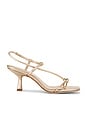 view 1 of 5 Triana Strappy Sandal in Champagne Metallic Nappa