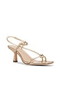 view 2 of 5 Triana Strappy Sandal in Champagne Metallic Nappa