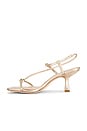 view 5 of 5 Triana Strappy Sandal in Champagne Metallic Nappa