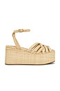 view 1 of 5 Channing Platform Sandal in Natural Raffia