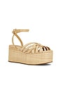 view 2 of 5 Channing Platform Sandal in Natural Raffia