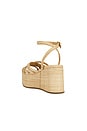 view 3 of 5 Channing Platform Sandal in Natural Raffia