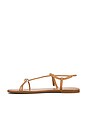 view 5 of 5 Lara Strappy Flat Sandal in Dune Nappa