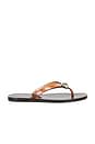 view 1 of 5 Jovie Jelly Flip Flop in Brown