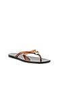 view 2 of 5 Jovie Jelly Flip Flop in Brown