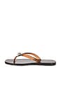 view 5 of 5 Jovie Jelly Flip Flop in Brown