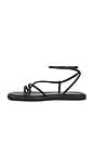 view 5 of 5 Noor Strappy Ankle Wrap Flat Sandal in Black