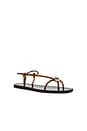 view 2 of 5 Dana Strappy Jelly Sandal in Brown