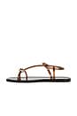 view 5 of 5 Dana Strappy Jelly Sandal in Brown