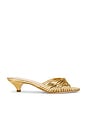 view 1 of 5 Dixie Strappy Kitten Heel Sandal in Gold