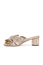 view 5 of 5 MULE PLISADO CON NUDO EMILIA in Champagne Shimmer