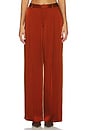 view 1 of 6 Satin Relaxed Pleated Pant in Rust