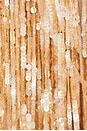 view 5 of 5 Fringe Sequin Crop Top in Oat