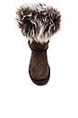 view 4 of 5 Foxy Short Shearling Boot in Espresso