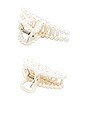 view 2 of 2 Pearl Beaded Claw Clip Set in Ivory