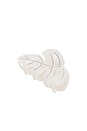 view 1 of 3 Palm Leaf Clip in White