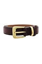 view 3 of 3 Tali Leather Belt in Brown & Gold
