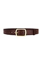 view 1 of 3 Euclid Belt in Tan & Gold