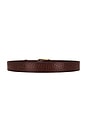 view 2 of 3 Euclid Belt in Tan & Gold
