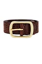 view 3 of 3 Euclid Belt in Tan & Gold