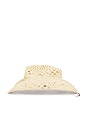 view 5 of 5 Lovers + Friends Olivia Hat in Natural