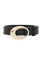 view 3 of 3 Carson Buckle Belt in Black & Gold