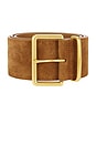 view 3 of 3 Wide Belt in Cognac & Gold