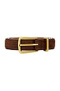 view 3 of 3 Western Belt in Brown & Bronze