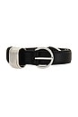 view 3 of 3 Lilia Faux Leather Belt in Black