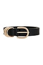view 3 of 3 Eliara Belt in Black/gold