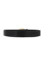view 2 of 3 Seline Belt in Black/gold