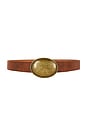 view 1 of 3 Nola Belt in Brown & Gold