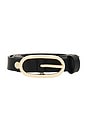 view 3 of 3 CEINTURE ALESSARA in Black
