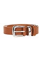 view 3 of 3 CEINTURE BELLARA in Brown