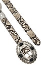 view 3 of 3 CEINTURE GYPSY in Black & Snake