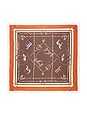 view 2 of 2 ÉCHARPE AGNES in Brown Scarf Print