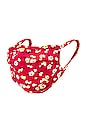 view 1 of 3 Protective Face Mask in Red Mini Floral