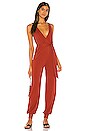 view 1 of 3 Eliana Jumpsuit in Rust Stripe