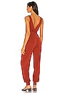 view 3 of 3 Eliana Jumpsuit in Rust Stripe
